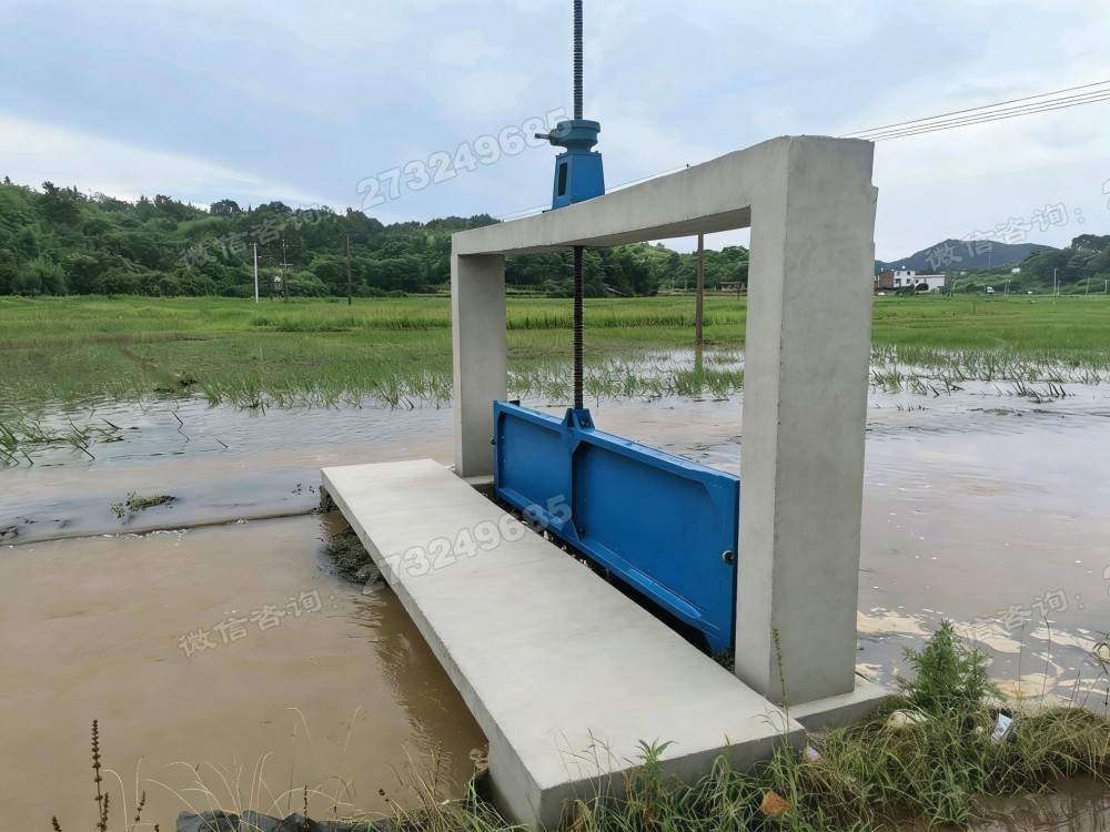 梧州农田排涝渠道闸